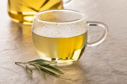 5 receitas de chá de oliveira para combater a gordura abdominal 5 receitas de chá de oliveira para combater a gordura abdominal