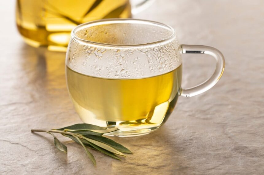 5 receitas de chá de oliveira para combater a gordura abdominal 5 receitas de chá de oliveira para combater a gordura abdominal