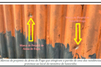 PCGO apreende adolescente por envolvimento em dupla tentativa de homicídio – Policia Civil do Estado de Goiás