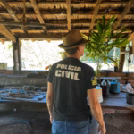 PCGO cumpre busca e apreensão em investigação de violência doméstica em fazenda de Moiporá – Policia Civil do Estado de Goiás