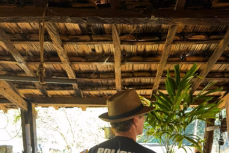 PCGO cumpre busca e apreensão em investigação de violência doméstica em fazenda de Moiporá – Policia Civil do Estado de Goiás