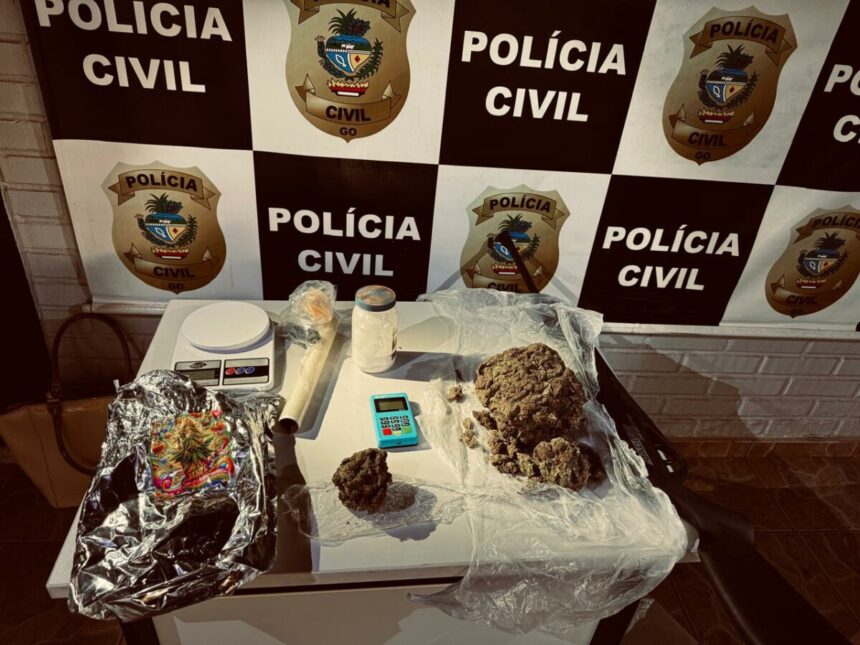 PCGO desarticula organização criminosa ligada ao tráfico de drogas e causa prejuízo de R$ 100 mil ao crime – Policia Civil do Estado de Goiás