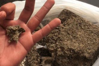 PCGO prende homem por tráfico após anunciar drogas em rede social, em Abadiânia – Policia Civil do Estado de Goiás