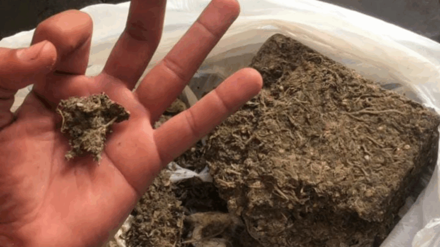 PCGO prende homem por tráfico após anunciar drogas em rede social, em Abadiânia – Policia Civil do Estado de Goiás