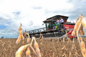 Goiás tem superávit de US$ 3,2 bilhões na balança comercial – Portal Goiás