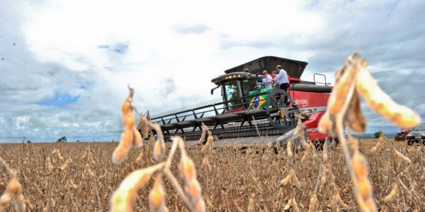 Goiás tem superávit de US$ 3,2 bilhões na balança comercial – Portal Goiás