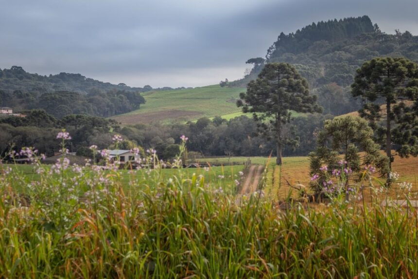 6 destinos para curtir o frio no Brasil 6 destinos para curtir o frio no Brasil