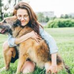 6 dicas de como agir ao resgatar um animal abandonado