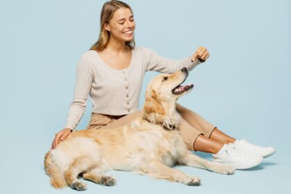 Veja os sintomas e os tratamentos para artrite em animais Veja os sintomas e os tratamentos para artrite em animais