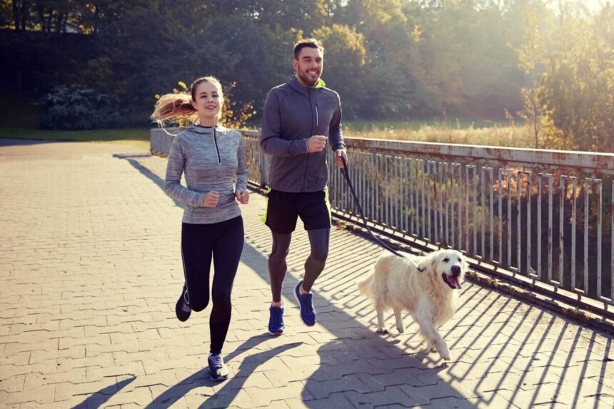 7 atividades físicas para praticar com o cachorro 7 atividades físicas para praticar com o cachorro