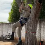 Bombeiros de Goianésia vencem pela 3ª vez o Desafio Físico-Operacional Regional