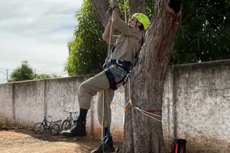 Bombeiros de Goianésia vencem pela 3ª vez o Desafio Físico-Operacional Regional