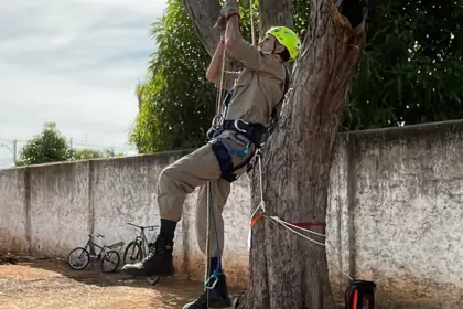 Bombeiros de Goianésia vencem pela 3ª vez o Desafio Físico-Operacional Regional