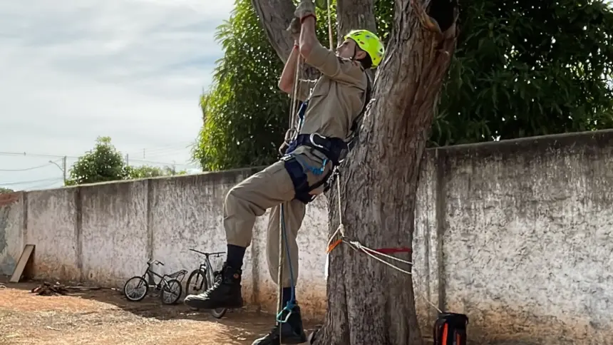 Bombeiros de Goianésia vencem pela 3ª vez o Desafio Físico-Operacional Regional
