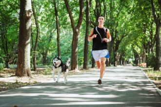 5 cuidados com animais que praticam atividade física