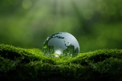 6 dicas para estudar sobre meio ambiente para o vestibular 6 dicas para estudar sobre meio ambiente para o vestibular