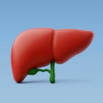 Veja as causas e como prevenir a gordura no fígado