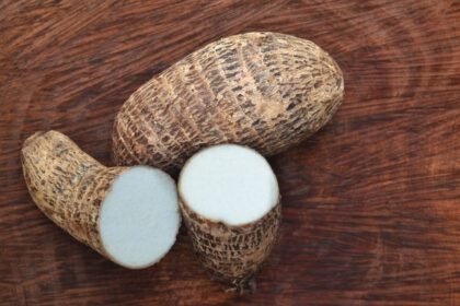 5 benefícios do inhame para a saúde e como consumir com segurança 5 benefícios do inhame para a saúde e como consumir com segurança