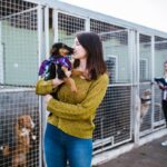 7 meios de adotar um animal de estimação