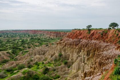 3 destinos exclusivos para explorar a vida selvagem africana 3 destinos exclusivos para explorar a vida selvagem africana