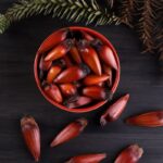 5 benefícios do pinhão para a saúde