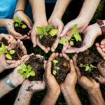 30 atitudes simples para preservar o meio ambiente