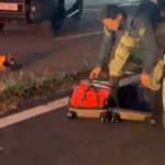 PRF apreende 140 Kg de maconha na BR-050