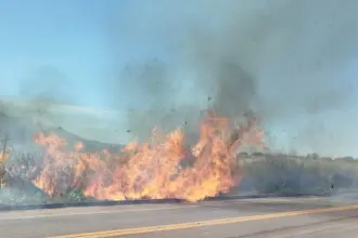 Três incêndios em vegetação mobilizam bombeiros em Goianésia neste sábado