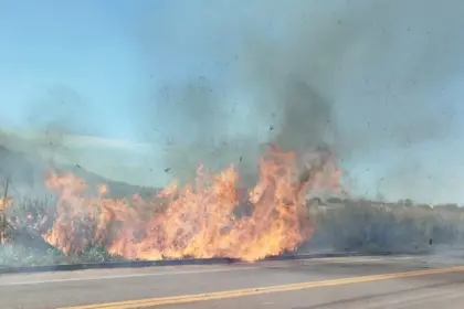 Três incêndios em vegetação mobilizam bombeiros em Goianésia neste sábado