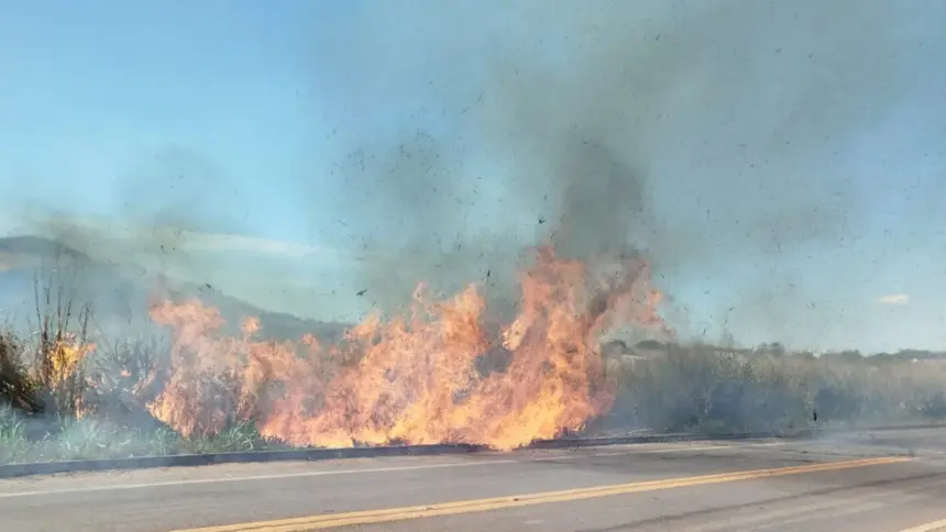 Três incêndios em vegetação mobilizam bombeiros em Goianésia neste sábado