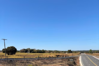 Polícia Civil prende em flagrante investigado que ateou fogo em rodovia de acesso ao povoado de Luiz Alves – Policia Civil do Estado de Goiás