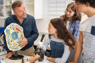 Aprenda os principais conceitos da biologia celular
