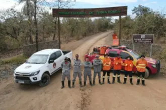 Goiás reforça combate a incêndios florestais – Portal Goiás