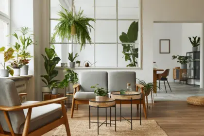 3 dicas para transformar os ambientes com plantas na decoração 3 dicas para transformar os ambientes com plantas na decoração