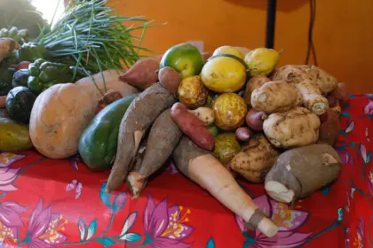 Governo amplia lista de produtos comercializados no PAA Quilombola – Portal Goiás