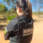 Operação Pasto Vazio investiga furto de mais de 150 cabeças de gado; animais tiveram brincos de identificação retirados Operação Pasto Vazio investiga furto de mais de 150 cabeças de gado; animais tiveram brincos de identificação retirados