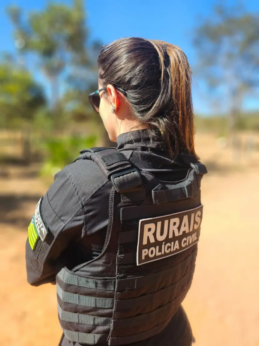 Operação Pasto Vazio investiga furto de mais de 150 cabeças de gado; animais tiveram brincos de identificação retirados Operação Pasto Vazio investiga furto de mais de 150 cabeças de gado; animais tiveram brincos de identificação retirados