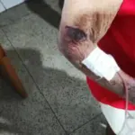 Polícia Civil prende em flagrante neto por agredir avó idosa de 85 anos, em Morrinhos – Policia Civil do Estado de Goiás
