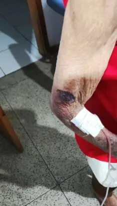 Polícia Civil prende em flagrante neto por agredir avó idosa de 85 anos, em Morrinhos – Policia Civil do Estado de Goiás