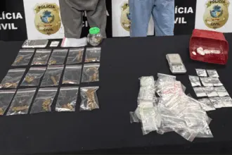 PCGO prende dupla em flagrante por tráfico de drogas e associação para o tráfico – Policia Civil do Estado de Goiás