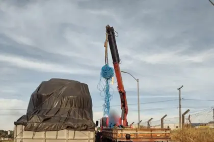 Polícia Civil recupera carga de bobinas de fio de cobre furtas na BR-153, em Aparecida de Goiânia – Policia Civil do Estado de Goiás