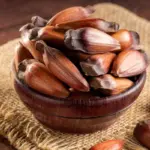 5 benefícios do pinhão para a saúde e como consumi-lo 5 benefícios do pinhão para a saúde e como consumi-lo