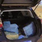 Cerca de 200 kg de maconha são apreendidos na BR-060