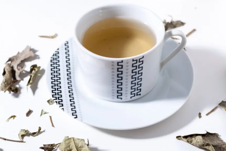 7 receitas de chá de espinheira-santa e seus benefícios para a saúde 7 receitas de chá de espinheira-santa e seus benefícios para a saúde