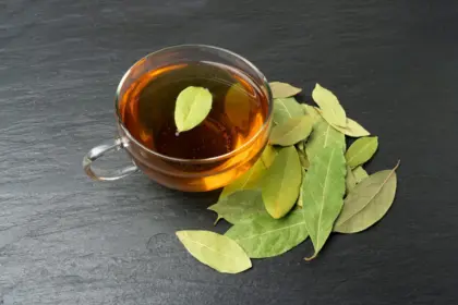 7 receitas de chá de louro e seus benefícios para a saúde 7 receitas de chá de louro e seus benefícios para a saúde
