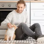 7 maneiras eficientes de chamar o gato  7 maneiras eficientes de chamar o gato