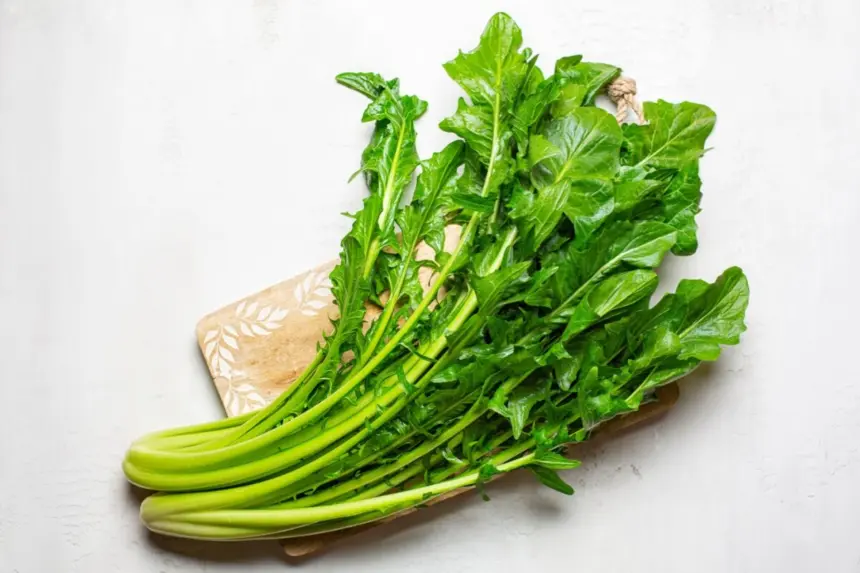 5 benefícios da chicória para a saúde e como inserir a verdura na dieta 5 benefícios da chicória para a saúde e como inserir a verdura na dieta