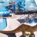 Clube Campestre inaugura parque aquático e amplia oferta de lazer em Goianésia