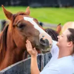 Veja os benefícios da equoterapia para a saúde física e mental