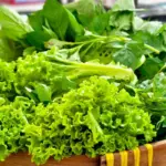 7 benefícios das folhas verdes para a saúde 7 benefícios das folhas verdes para a saúde